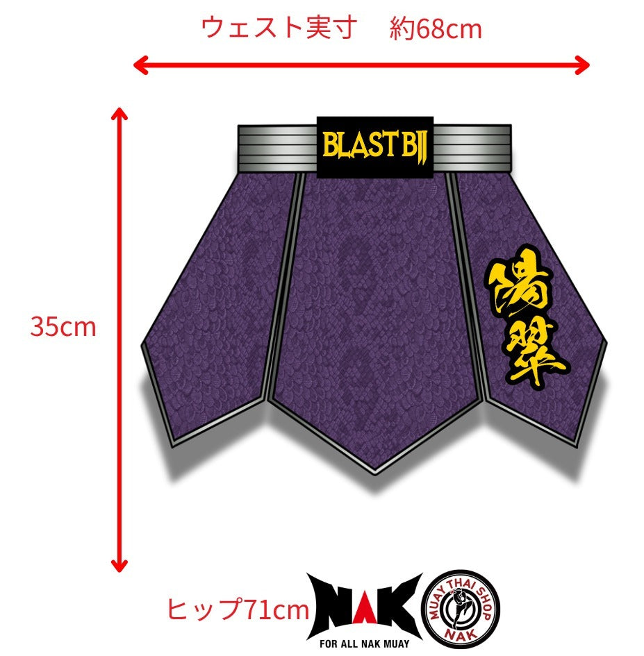陽翠選手 フルオーダーキックパンツ オーダーメイド ムエタイショップNAK