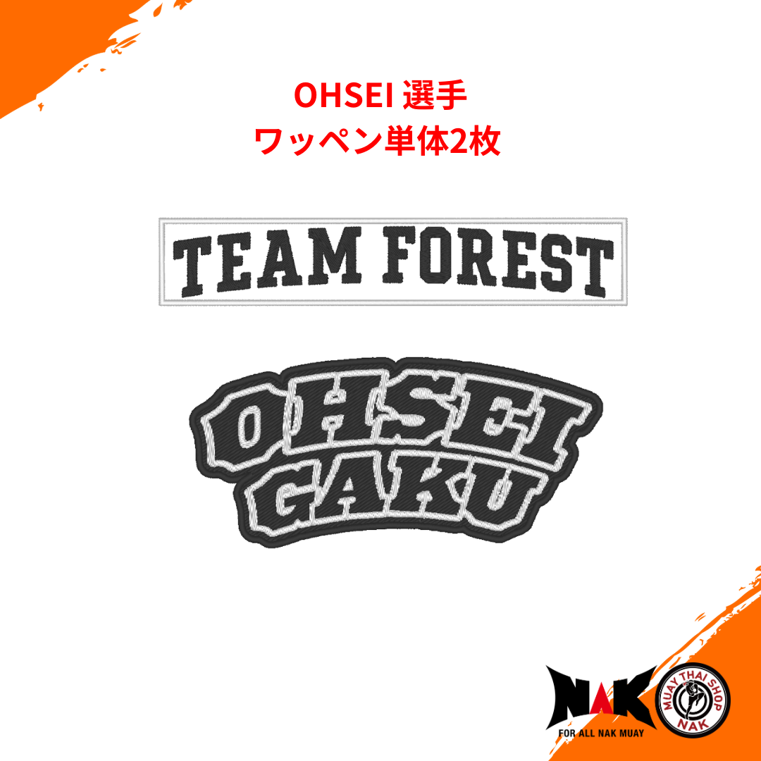 OHSEI 選手 ワッペン単体 2枚