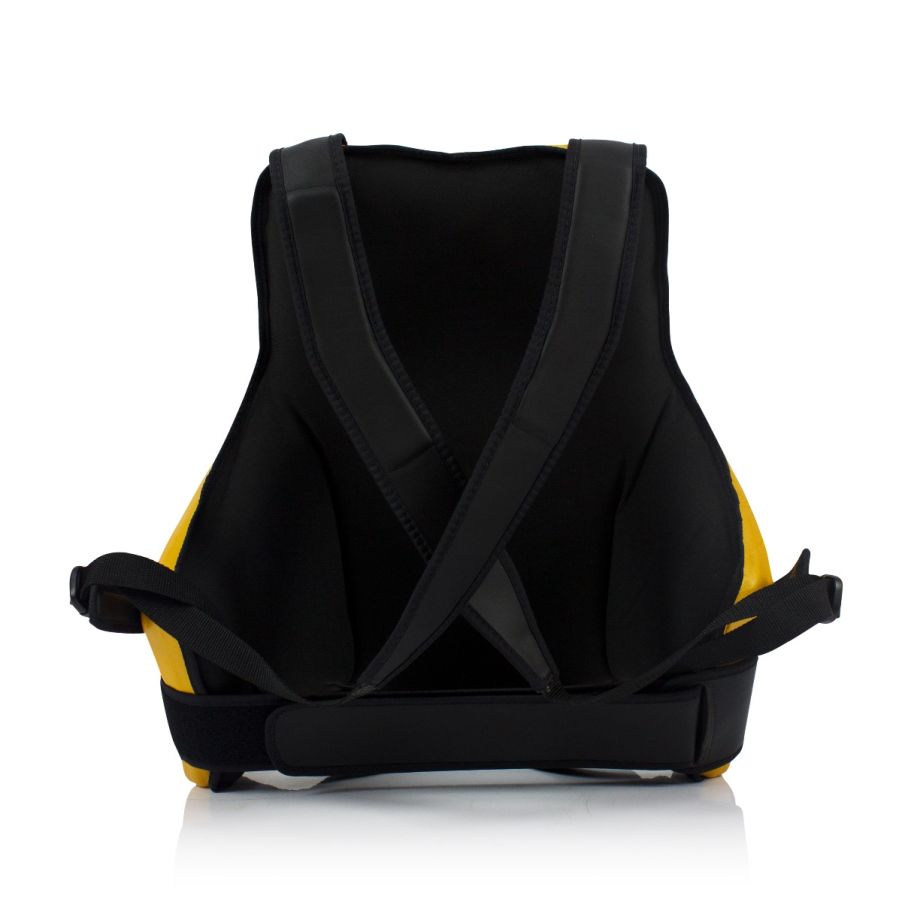 Fairtex トレーナー用ボディプロテクター TV2 ゴールド
